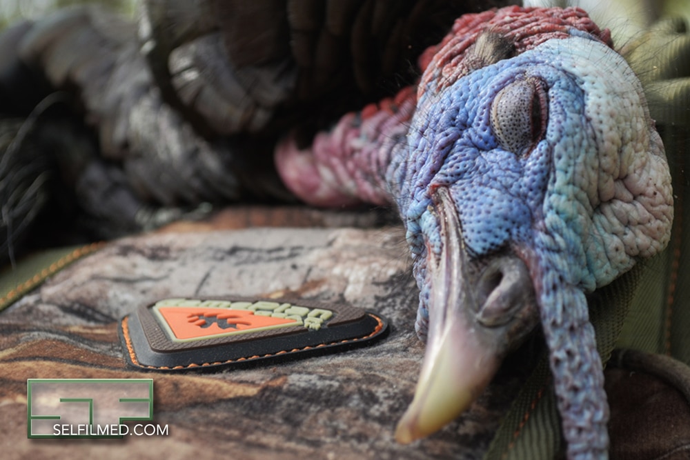 North Carolina Turkey Season for the Ages SELFILMED