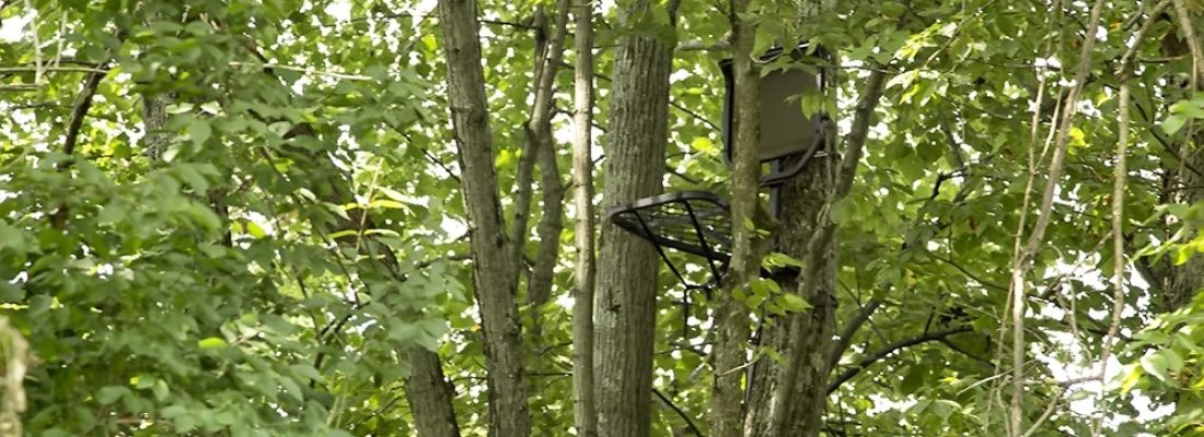 Treestand-Safety-Feature